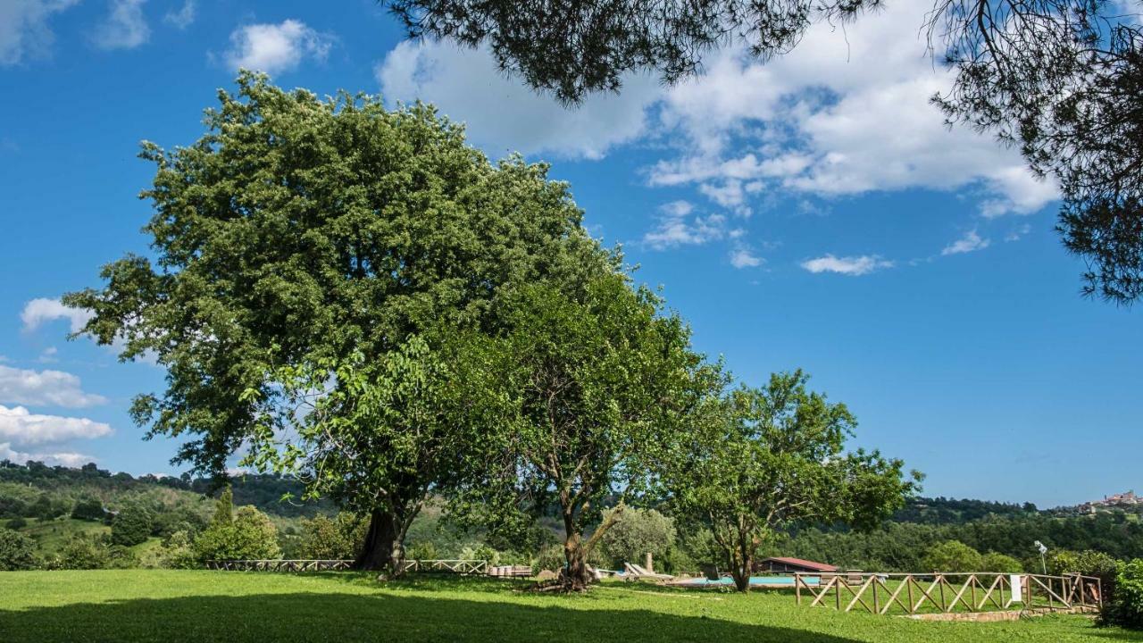 Agriturismo Bio Le Macchie Alte มันชาโน ภายนอก รูปภาพ